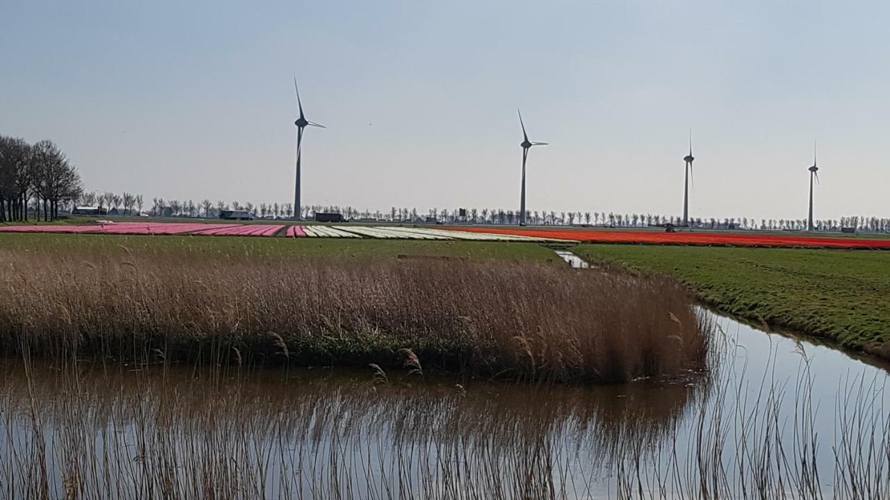 Vliet Huis Medemblik Exterior foto